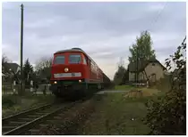 G�terzug nach Horka beim Haltepunkt Petershain, 2010