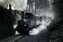 Die Lok Herman im Steigungsabschnitt im Vilserholz 15.12.02
S/W Film