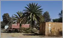 Neben viel Dampflokschrott und unz�hligen Containern hat es auch ein durchaus gepflegter Krupp-Wagen in den Vorgarten des Ausbesserungswerk Asmara geschafft. (31.01.2012)