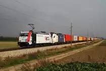 23.10.11 Durch den Lokmangel bei der Wiener Lokalbahn Cargo GmbH wurde f�r eine kurze Zeit die 185 664 der Lokomotion GmbH angemietet. Hier bespannt die Lokomotion 185 664 zusammen mit der WLC ES64U2 019 den 143min versp�teten TEC 42912 von Wien Donaukaibahnhof nach Passau.