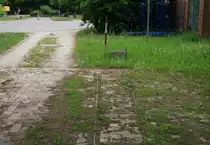 9/2011 Reste der Hobrechtsfelder Wirtschaftsbahn in Lobetal / R�dnitz