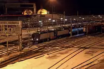 FS 412 Doppeltraktion mit G�terzug, kurz vor abfahrt in Brenner. 29.02.2012