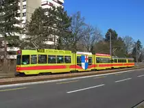 Be 4/8 mit der Betriebsnummer 201 und der Be 4/6 D�wag 143 ex BVB 643) auf der Linie 11 in der N�he der Haltestelle Surbaum Richtung Aesch. Die Aufnahme stammt vom 29.02.2012.