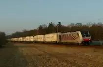 Das dritte highlight, das silber rot gestreifte Zebra 186 283-8 von Lokomotion am 01.03.2012 mit dem EKOL bei Wagh�usel