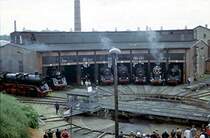 K�nig Dampf regierte im sch�nen Dresden zum Dampflokfest 1999. Volles Haus im gro�en Bw.
