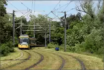 Grüne S-Kurve -

Die im Jahr 2000 verlängerte Strecke der Linie 4 in Waldstadt schlängelt sich durchs Grüne. Hier nördlich der früheren Endstation Jägerhaus. 

24.05.2006 (M)