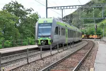 Die RABe 535 109 und 113  L�tschberger  der BLS fahren gemeinsam als RE nach Bern, hier bei der Ausfahrt aus dem Bahnhof Ausserberg am 26. Juli 2011.