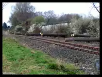 Da ja bekanntlich seit Jahren die Reaktivierung der Strecke Lindern-Heinsberg geplant ist. Hier nun ein Bild was das voran kommen verananschaulicht.
Zum Zweck der Reaktivierung wurden n�mlich zwischen Oberbruch und Heinsberg B�ume gef�llt die an der unmittelbaren Strecke standen.
Zu diesem Zweck kann auch �ber einer Webseite die Extra daf�r eingerichtet wurde, der aktuelle Stand der arbeiten an der Strecke erkundigt werden.
Diese lautet www.wurmtalbahn.de
Ich werde weiterhin die Fortschritte fotografisch festhalten.

Datum:02.04.2012
Aufnahmezeit: 16:55