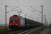 Die SBB Cargo 482 041 (i.E f�r Niag) am 17.3.12 mit einem Niagkohlezug bei der Durchfahrt durch Neuss-Allerheiligen.