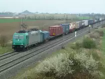 Die 185 576-6 ist am 04.04.12 mit einem KLV-Zug in die Schweiz unterwegs. Das Bild entstand bei H�gelheim im Markg�flerland.