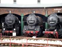 52 8189, 50 3556 und 52 8161 vorm Sta�furter Lokschuppen am 27.05.06