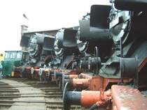 Lokparade vor dem Lokschuppen Sta�furt