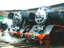 50 3606 neben der betriebsf�higen 44 1486 im Lokschuppen des BW Sta�furt am 27.05.06
