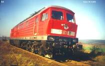 232 702 im Bahnhof K�nitz(Th�ringen)am 06.11.2002