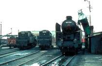 424 154 Celld�m�lk 06.06.80

