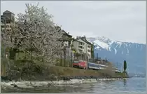 Die Re 460 007-8 mit einem IR nach Gen�ve A�roport bei St-Saphorin.
9. April 2012
