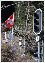 Fr�hling in der Rheinschlucht. Trin (12.04.2012)