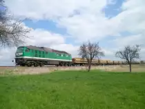 V 300 003 f�hrt am 17.04.12 durch Gro�braunshain Richtung Ronneburg.