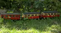 Eisenbahnlinien haben ja manchmal sonderbare Namen, welcher Eisenbahnfan kennt nicht den Pollo, oder den Kaffebrenner, aber auch Heidekrautbahn oder Pfefferminzbahn sind ein Begriff. Hier ist Saisoner�ffnung auf der  Primelbahn 
etwas ruckig  f�hrt das Gespann aus VT 133-VS-VT 133 in roter Lackierung �ber die
Gartenbahnstrecke. Die Schienen liegen hier auf Rasenkantensteinen und die im Sommer darunter lebennden Ameisen verbreiten die Samen der Primula offizinalis l�ngs der Bahnstrecke. 17.04.2012  gegen 16:25 Uhr aufgenommen.