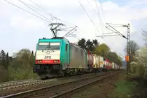 Die Cobra 2812 f�hrt die Gemmenicher-Rampe hoch mit einem Containerzug von Aachen-West nach Belgien.
Aufgenommen am Gemmenicher-Weg am 13.4.2012.