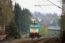 Die Cobra 2831 f�hrt die Gemmenicher-Rampe hoch als Lokzug von Aachen-West nach Belgien bei Sonnenschein.
Aufgenommen an der Vaalser-Stra�e auf der Montzenroute am 13.4.2012.