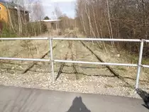 Dank eines asphaltierten Ersatzwegs von der Erzberger Stra�e zum Gutsweg kann man diesen Engl�nder in Chemnitz-Altendorf fotografieren. Der Weg wurde fast perfekt gesichert. 17.04.2012