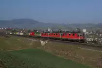 An 21.3.12 zieht die Re 4/4 II 11335 gemeinsam mit der Re 4/4 II 11247 und der Re 4/4 II 11262 einen Containerzug von Frick die B�tzberg-S�drampe hinauf.