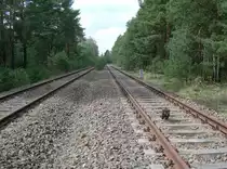 20.4.2008 Abzweig Fichtengrund Ost bei Oranienburg. Blickrichtung West. Links das Gl nach Or, rechts nach Fichtengrund. Der Kilometerstein gilt nur f�r das Abzweiggleis nach Fi. Die eigentliche Kilometrierung beginnt in Teltow, da die Strecke urspr�nglich zum G�teraussenring geh�rte. Ein in unmittelbarer N�he stehender Stein zeigt 72,2. Der letzte Zug 1999 hat sein Schlusssignal verloren.