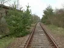 20.4.2008 Fichtengrund. Abzweig (abgetrennt/stillgelegt) der Umgehungsstrecke nach Wensickendorf. Links der Zugang zur Fussg�nger-Unterf�hrung. Im Hintergrund die Nordbahn. (Blickrichtung Nord)