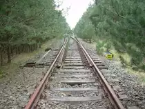 20.4.2008 Abzweig Fichtengrund Ost bei Oranienburg. Zusammenschluss der Abzweiggleise zur/von der Nordbahn. Links nach Or, rechts nach Fichtengrund. Die Weiche war mit Weichenschloss gesichert. Der Mittelverschluss weist darauf hin, dass nicht nur Bummelz�ge hier lang fuhren.
