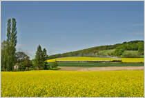 52 100 des 1. �SEK aus Strasshof f�hrte am Sonntag, 6.5.2012 einen Dampfsonderzug zum Oldtimerfest in Ernstbrunn. Die bekannte Stelle bei Wetzleinsdorf einmal in der Breitseite...