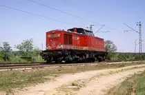 Adam 9  Wagh�usel  26.04.07