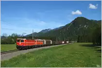 Eine der klassischen Fotostellen auf der Phyrnbahn befindet sich nahe Ro�leithen, wo ich das blutorange Tandem, bestehend aus 1144 040 & 1142 682 mit dem G�terzug 54691 von Linz nach Selzthal nochmals ablichten konnte. Dadurch beide Maschinen auch noch die Zierlinien haben, passen sie farblich optimal zusammen.
10.5.2012

