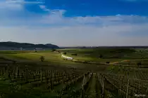 Spotlight...


f�r die f�nf RS1 der SWEG, die am 27.April.2012 von Breisach nach Endingen unterwegs waren. Der Blick �ber die Rebh�nge des Kaiserstuhls, bot sich hier bei Burkheim.