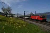 Re 460 057-3 zieht am 28.4.21 den IR 1775 von W�denswil Richtung Richterswil.
