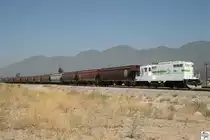 Cargill # 305, eine alte GP 9, vor einen Sch�ttgutwagen-Zug in Kalifornien, September 2011.