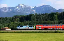 DB 111 066-7 mit Werbung   Mit dem Bayern-Ticket zu den sch�nsten Bierg�rten   vor RE 79031 M�nchen - Freilassing, KBS 951 M�nchen - Rosenheim - Salzburg, fotografiert bei �bersee am 14.05.2012