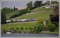 Ein Re 450 Dosto in den Rebbergen der Goldk�ste bei Meilen, ebenfalls von einem Z�richseeschiff fotografiert. (21.05.2012)