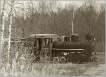 Leider nur durch einen engmaschigen Zaun konnten wir einen kleinen Einblick ins  Eesti muuseumraudtee  von Lavassaare werfen, da dieses Schmalspurbahnmuseum von Juni bis September ge�ffnet hat.
4. Mai 2012