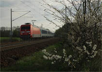 Ec 171  Hungaria  bei Hohenleipisch, April 2012