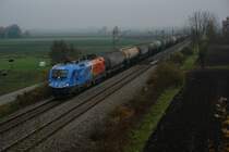 Am 04.11.2008 fuhr der Feuerwehr-Ochse das erste mal auf der Passauerbahn. Obwohl das Wetter schlecht war, fotographierten wir den noch sauberen 1116 250 auf seiner Fahrt nach Regensburg, hier unterwegs bei Vilshofen.