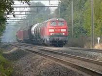 225 028-0 und Schwesterlok zogen am 18/10/2008 einen kurzen G�terzug vom Maastal hoch in Richtung Montzen und weiter nach Aachen-West, hier aufgenommen am Ende der Steigung bei Warsage.