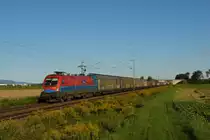 1116 017 mit einem Audizug nach Ingolstadt Nord am 28.08.11 unterwegs bei Plattling.