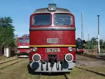 Die Taigatrommel 120 274-6 zusammen mit dem Holzroller 211 001-3 sowie 41 1185-2 ausgestellt bei herrlichstem Foto-Wetter zum Eisenbahnfest in Berlin-Sch�neweide am 12.09.2010!