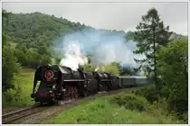475 196 und 475 179 mit ihrem Sonderzug Os 31208 von Vr�tky �ber Zvolen retour nach Vr�tky anl�sslich der Kindertage in Vr�tky, aufgenommen am 1.6.2012 zwischen Kremnica und Kremnick� Bane. Diese Stelle wurde von uns �brigens gr�ndlich von st�rendem Gr�nzeug, welches das Fahrwerk verdeckt h�tte, mit Heckenscheren befreit.  Standing ovations von unseren slowakischen Kollegen waren im Endeffekt die Folge ;-)