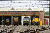 Von Links nach Rechts:Ein Belgischer Personenzug 537,die Diesellok 7406 der SNCB, die E-Lok 2743 der SNCB und die Rangierlok 7752 der SNCB stehten in Hasselt(B) vor dem Lokschuppen bei Regenschauer am 7.6.2012.