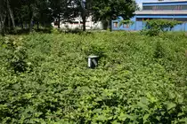 Weichenantrieb der wohl schon l�nger nicht mehr im Betrieb war.