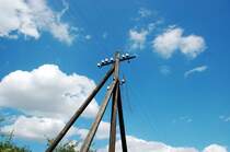 Auf einer Leitung dieses Telegrafenmastes hngt ein Ast - und das wird auch so bleiben, wenn kein Mensch  nachhilft .