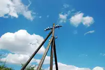 Auf einer Leitung dieses Telegrafenmastes h�ngt ein Ast - und das wird auch so bleiben, wenn kein Mensch  nachhilft .