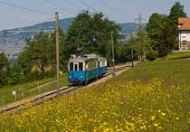Triebwagen Ce 2/3 ex 28 der TL (Transports publics de la rgion lausannoise (deutsch ffentliche Transporte der Region Lausanne)) mit dem Steuerwagen nr. 57 ex BVB (Bex–Villars–Bretaye) kommt von Blonay hoch, hier am 27.05.2012 bei Chaulin. Die Stecke der Museumsbahn Blonay–Chamby hat eine Spurweite von 1.000 mm.
Der Triebwagen wurde 1948 von SWS und SAAS gebaut, der Steuerwagen 1930 von SIG.